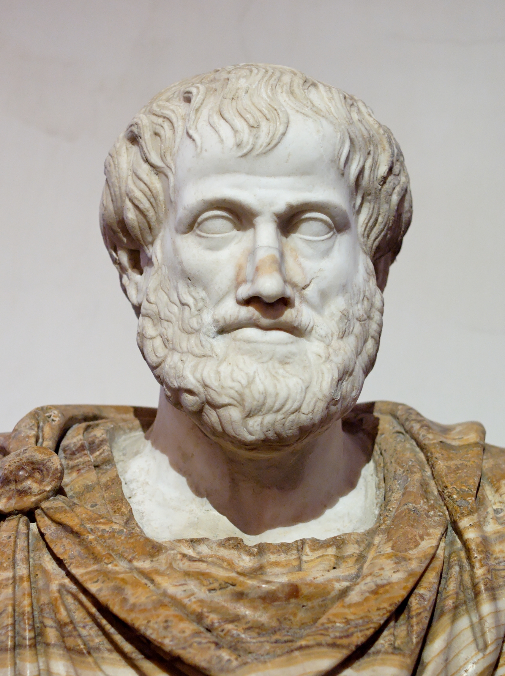 A marble bust of Aristotle.